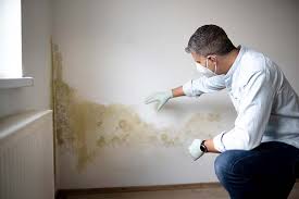 Forensic Mold Investigation in Halawa, HI